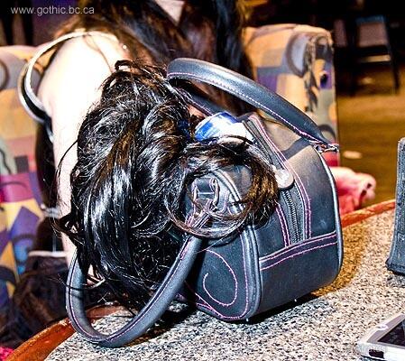 Purse essentials: hair and beer?