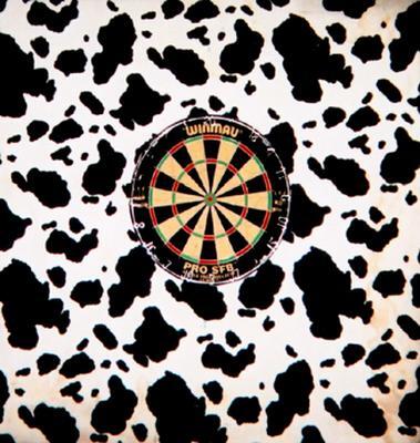 The dartboard that temporarily replaced the damaged pool table.
